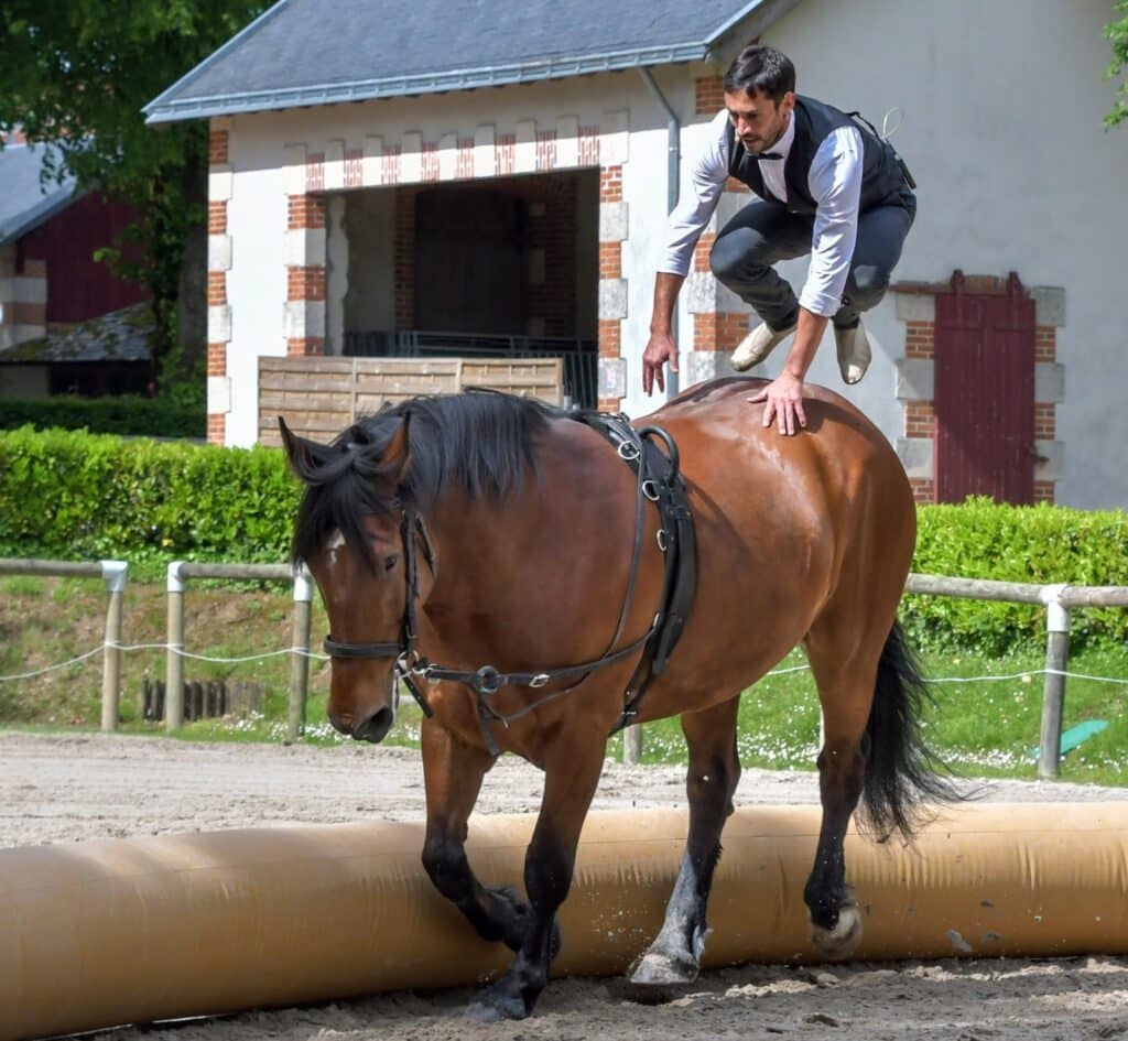 Acrobatie spectaculaire sur un cheval en mouvement illustrant l'agilité et la coordination