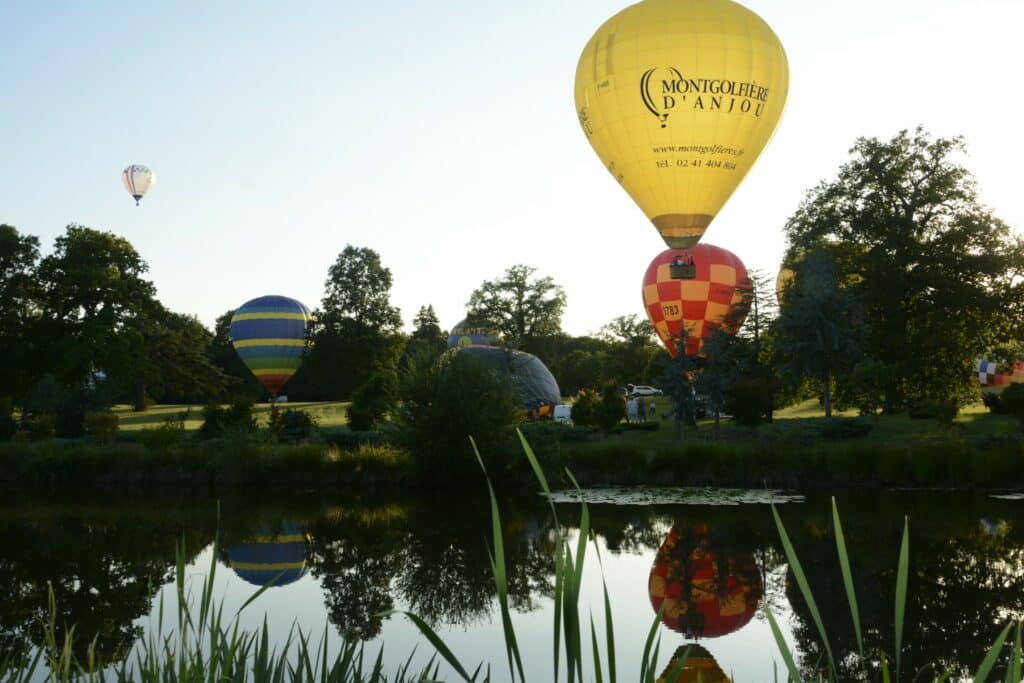 Des montgolfières de différentes couleurs et formes réunies pour un festival de montgolfières